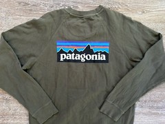 Patagonia Midweight Sweatshirt Medium CrewNeck Pullover Logo Spring 2021 Green