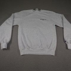 Champion Sweatshirt Mens Small Gray Gym Lifting Workout Redemption HTX Scorpion