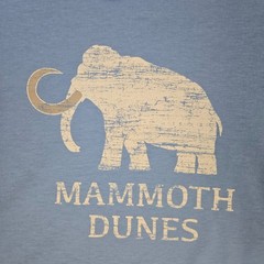 LEVELWEAR x MAMMOTH DUNES SAND VALLEY Mens Large T shirt Weight Hoodie Blue Golf