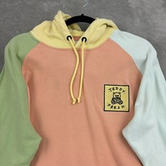 Teddy Fresh Hoodie Sweatshirt Mens M Multicolor Colorful Colorblock Logo 90s