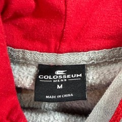 Colosseum Hoodie Mens Medium Grey Excellent Ohio State Buckeyes NCAA Sweatshirt