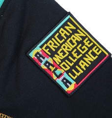 African American College Alliance Classic 91 Hoodie AACA Vintage Style