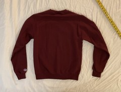 RARE Champion Harvard Big “H” Felt Letter Sweatshirt SMALL Long Sleeve Crew Neck