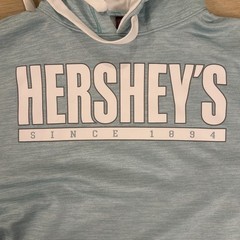 Hersheys Men’s 2XL Long Sleeve Hoodie Light Heather Green