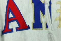 VTG Champion Varsity Letter Spell Out Hoodie Men’s L Reverse Weave Sweatshirt