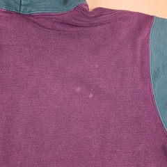 Vintage Champion Hoodie Adult Large Purple Green Colorblock 90s USA Big Logo