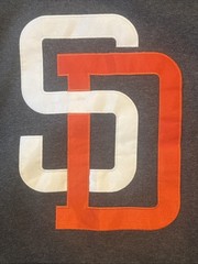 Pro Club Heavyweight Hoodie Men’s XL Fleece Lined Gray Stitched San Diego Logo