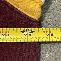Arizona State Hoodie Teens L Red Sun Devil Logo Champion Pullover Sweatshirt