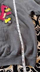 Champion Hoodie featuring Iowa State University’s famous “Walking Cy” cardinal.