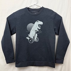 Story Spark T-Rex Riding Segway Unisex L Sweatshirt Gray