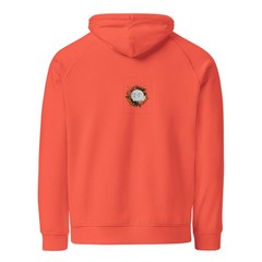 New stylish unisex eco raglan hoodie