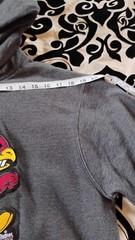 Champion Hoodie featuring Iowa State University’s famous “Walking Cy” cardinal.