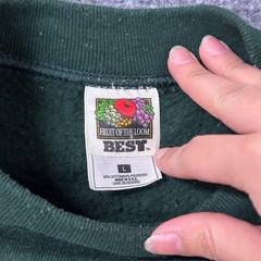 Fruit of the Loom Sweatshirt Mens Size L Green Vintage Autumn Graphic