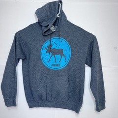 Mens Alaska Graphic State Hoodie Medium