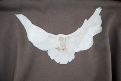 YEEZY Balenciaga Gap Dove Hoodie Size XL
