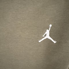 NIKE Air Jordan Size L Brooklyn Fleece Full-Zip Hoodie Olive (FV7289 222)