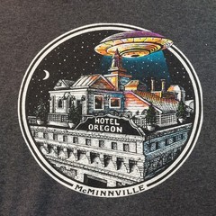 McMenamins McMinnville Hotel Oregon UFO Hoodie Mens Fits L Gray Alien PNW