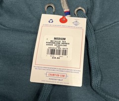 Champion Powerblend Fleece Hoodie, Size Medium, Metallic Tea