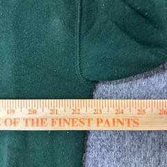 Fruit of the Loom Sweatshirt Mens Size L Green Vintage Autumn Graphic