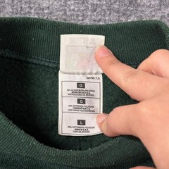 Fruit of the Loom Sweatshirt Mens Size L Green Vintage Autumn Graphic
