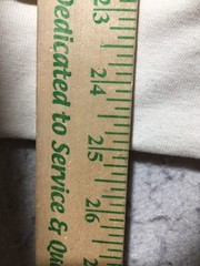 NEW Hanes Hoodie Mens L Large Cream Ivory Hooded Pockets