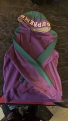 Supreme Panel Hoody Purple Green Large