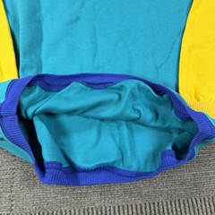 Vintage 90s Jantzen Sport Know Your Signs Ski Sweatshirt Color Block Retro M