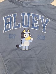 Bluey Adult Hoodie Graphic Unisex M 32/34 Blue