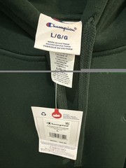Champion Mens Pine Grove Pullover Hooded Sweatshirt With C Logo