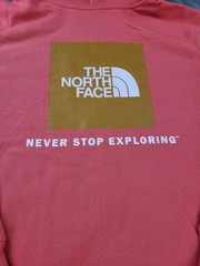 The North Face Men’s L Hoodie Coral Pink Box Logo Never Stop Exploring NWT