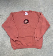 Vtg 90s Hanes Heavyweight Phoenix Arizona Embroider Sweatshirt Crewneck L Coral