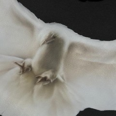 Yeezy Gap Balenciaga Shrunken Dove Hoodie Black XLarge ( Check Description )