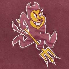 Arizona State Hoodie Teens L Red Sun Devil Logo Champion Pullover Sweatshirt