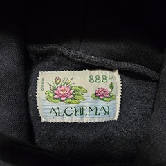 Alchemai Your Fear Of Looking Stupid Is Holding You Back Hoodie Black One Size