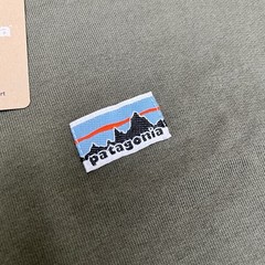 Patagonia Daily Crewneck Sweatshirt Size Small Mens Basin Green $99