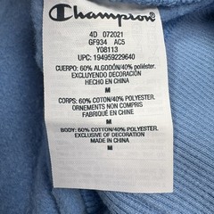 Champion Hoodie Sweatshirt Pullover Blue Mens M Athletic EXCELLENT cond.