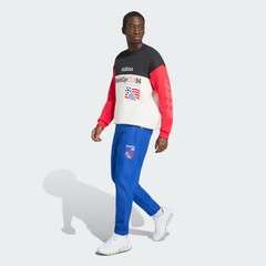 adidas men USA 94 Graphic Sweatshirt