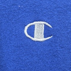 Champion Sweatshirt Hoodie Pullover Adult Large Blue Cotton Polyester Stitched