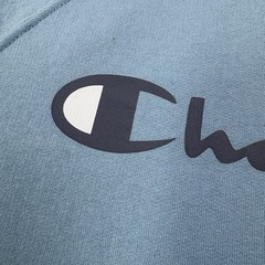 Champion Hoodie Sweatshirt Pullover Blue Mens M Athletic EXCELLENT cond.
