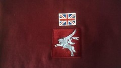 PARACHUTE REGIMENT UNITS DZ FLASH/PEGASUS HOODIE