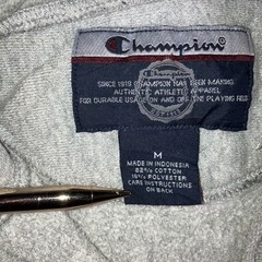 Vtg Champion Hoodie Men M NDSU Bison Reverse Weave Collegiate Grunge Thrashed