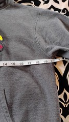 Champion Hoodie featuring Iowa State University’s famous “Walking Cy” cardinal.
