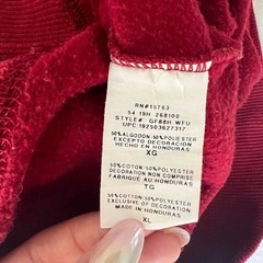 Champion Men’s Red and Burgundy Sweatshirt