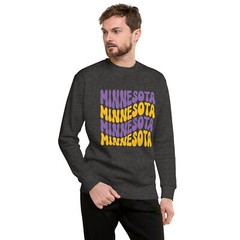 Retro Minnesota Vikings Football Fun Unisex Sweatshirt S,M,L,XL,2X,3X