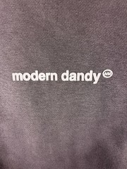 NWOT Modern Dandy Men’s Hoodie Gray Size XL