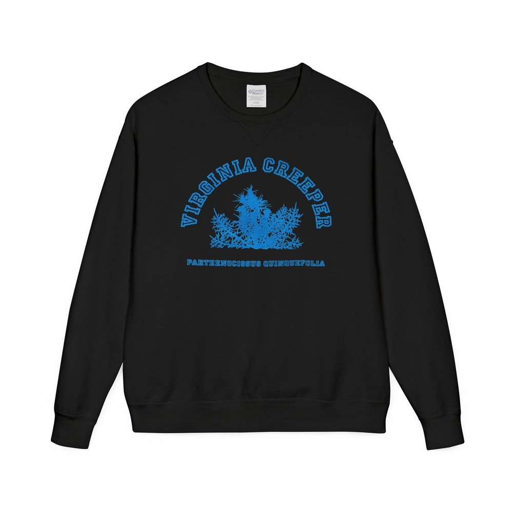 Virginia Creeper Sweaters Crewneck Raf Sweatshirts – All Sizes