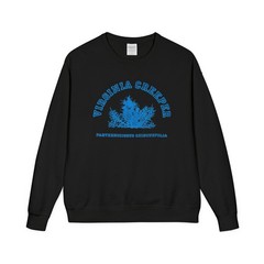 Virginia Creeper Sweaters Crewneck Raf Sweatshirts – All Sizes