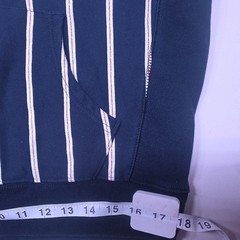 Champion Reverse Weave Hoodie Mens L Navy Pinstripe Red Thread Full Zip