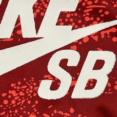 Nike SB ThermaFit Skate Pullover Hoodie Teens XL19x22 Red Flight Air Max