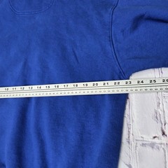 Champion Sweatshirt Hoodie Pullover Adult Large Blue Cotton Polyester Stitched